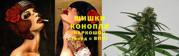 гидропоника Каменногорск