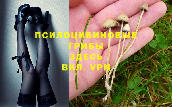 МДПВ Каменка