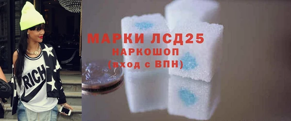 МДПВ Каменка