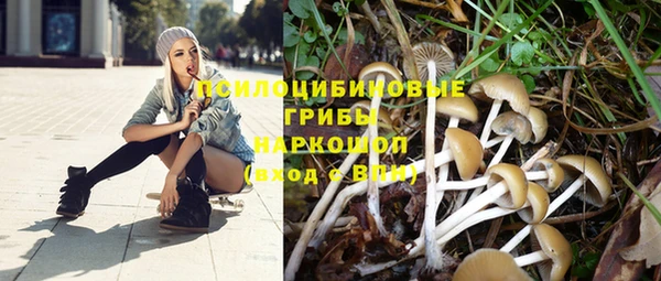 марихуана Каменск-Шахтинский