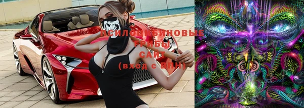 шишки Иннополис