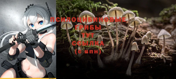 Альфа ПВП Зерноград