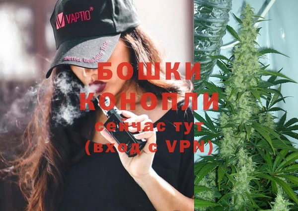 шишки Иннополис