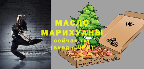 МДПВ Каменка