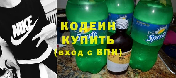 МДПВ Каменка