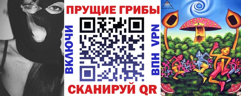 как найти наркотики Кингисепп Галлюциногенные грибы Psilocybe