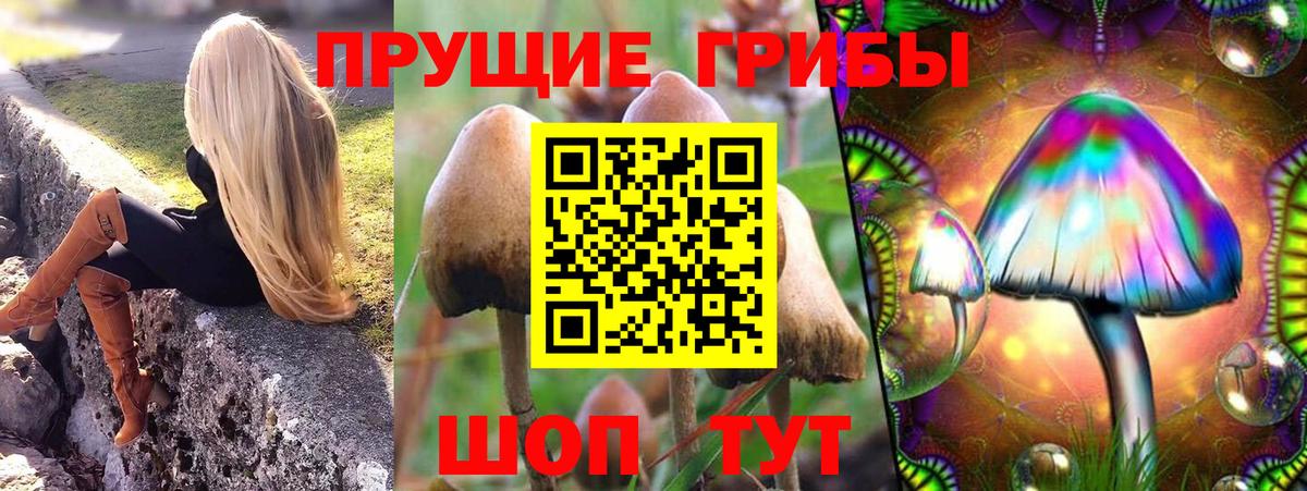 Галлюциногенные грибы Magic Shrooms  Галлюциногенные грибы прущие грибы  Кингисепп  Вход с VPN 