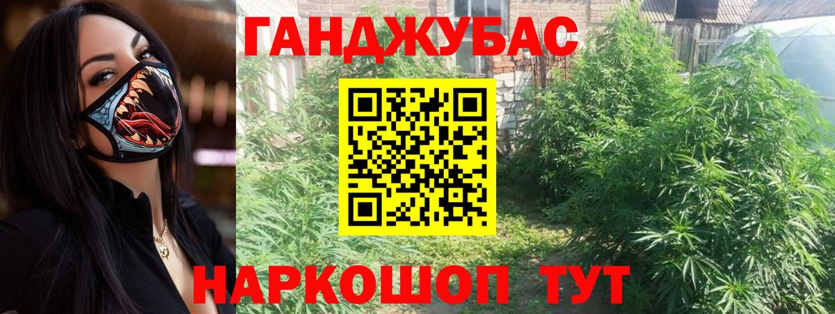 Каннабис гибрид Кингисепп